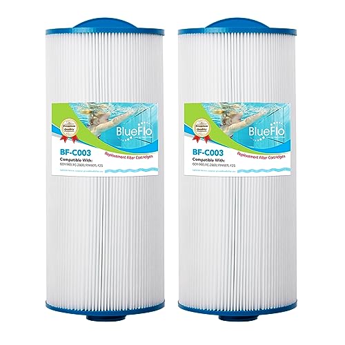 BLUEFLO Pool- und Spa-Filterkartusche Ersatz für Unicel 6CH-960, Filbur FC-2800, PJW60TL-F2S, 2 Stück BLUEFLO Pool- und Spa-Filterkartusche Ersatz für Unicel 6CH-960, Filbur FC-2800, PJW60TL-F2S, 2 Stück von BLUEFLO