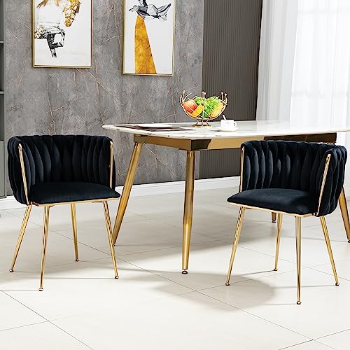 BLUON HOME Modernes luxuriöses Samt-Esszimmerstuhl-Set mit goldenen Metallbeinen, elegantem handgewebtem Design und weichen Kissen für Esszimmer, Wohnzimmer(2er-Set) von BLUON HOME