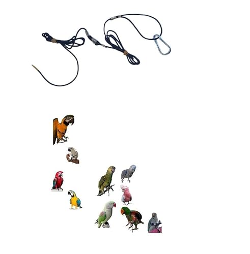 2 Meter Beinschlaufe: 1 Meter Kordel zum Einstecken in den Ring des Papageiens, siehe Video, und 1 Meter Gummiband zur Vermeidung von Unfällen 2 Meter Beinschlaufe: 1 Meter Kordel zum Einstecken in den Ring des Papageiens, siehe Video, und 1 Meter Gummiband zur Vermeidung von Unfällen von BLUSUPERSHOP