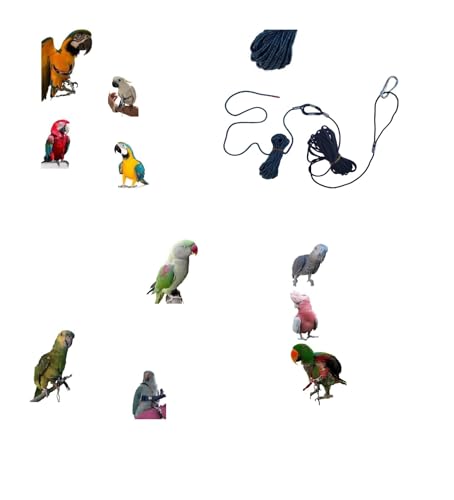 2 m Beinschlaufe: 1 Meter hellblau-blauer Fallschutz zum Einstecken in den Ring des Papageiens, siehe Video, und 1 Meter Gummiband zur Vermeidung von Unfällen 2 m Beinschlaufe: 1 Meter hellblau-blauer Fallschutz zum Einstecken in den Ring des Papageiens, siehe Video, und 1 Meter Gummiband zur Vermeidung von Unfällen von BLUSUPERSHOP