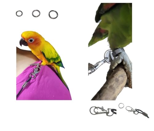 Elastische Beinschlaufe / 3 Ringe 10 12 und 14 mm Pfote, zum Befestigen unserer Brustwarze für Papageien BLUSUPERSHOP oder Freeparrot von BLUSUPERSHOP