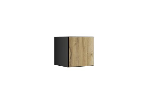 BMG MÖBEL Schranksystem Modul+ in anthrazit Aufbewahrung individuell montierbar als Regal oder Schrankset Lowboard oder Sideboard wandhängend (Evoke Eiche, Schrank 38x38 cm mit Tür) von BMG MÖBEL