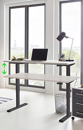 BMG Möbel elektrisch höhenverstellbarer Schreibtisch Edition Anthrazit Gestell mit 138 x 67cm Tischplatte, Memoryfunktion, 2-motoriges Gestell, Arbeitshöhe 69 – 119 cm (Weiß/Anthrazit Gestell) von BMG Möbel
