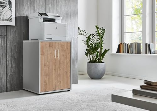 Druckerschrank Office Edition mit 2 Türen, 2 Einlegeböden, Büromöbel, 74 cm Höhe (Lichtgrau/Gold Harbor Oak) von BMG Möbel