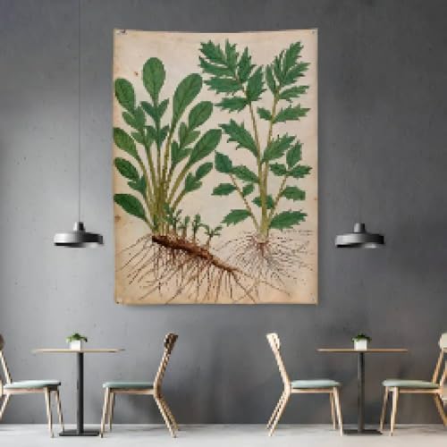 BMGKYAGL Pflanzen Mode Flagge Zimmer Schlafzimmer Home & Outdoor Wandbehang Konzert Gedruckt Hintergrund Dekor 20x30cm Rahmen BMGKYAGL Pflanzen Mode Flagge Zimmer Schlafzimmer Home & Outdoor Wandbehang Konzert Gedruckt Hintergrund Dekor 20x30cm Rahmen von BMGKYAGL