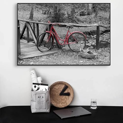 Schwarz-Weiß-Kunst, rotes Fahrrad, Retro-Landschaft, Poster und Drucke, Leinwandmalerei, Wandkunst, Bild, Wohnkultur, 60 x 110 cm, rahmenlos von BMGKYAGL