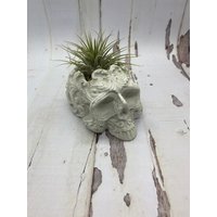 Fancy Skull Teelichthalter | Luftpflanzenhalter Übertopf Filigraner Totenkopf Halter Verschlungen Fancy Skull Teelichthalter | Luftpflanzenhalter Übertopf Filigraner Totenkopf Halter Verschlungen von BMRArtworks