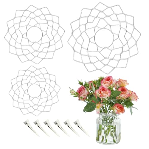 Blumenretter Stielhalter Blumen,3 StüCk Blumen Kenzan Steckigel Ikebana Blumenhalter Stielhalter Blumengitter FüR Vasen,Blumenhalter mit 6 Entenschnabelklammern,Diy Blumenarrangements Blumenfrosch von BMSQOFD