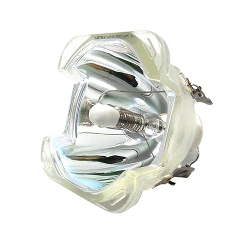 BNEAIGHW Projektionsglühbirne 5811116701-SVV DE.5811116701-SOT Replacement Lamp/Bulb for OptomaDH1015 DH1015 EH2060 EX784 Bühnenlicht BNEAIGHW Projektionsglühbirne 5811116701-SVV DE.5811116701-SOT Replacement Lamp/Bulb for OptomaDH1015 DH1015 EH2060 EX784 Bühnenlicht von BNEAIGHW