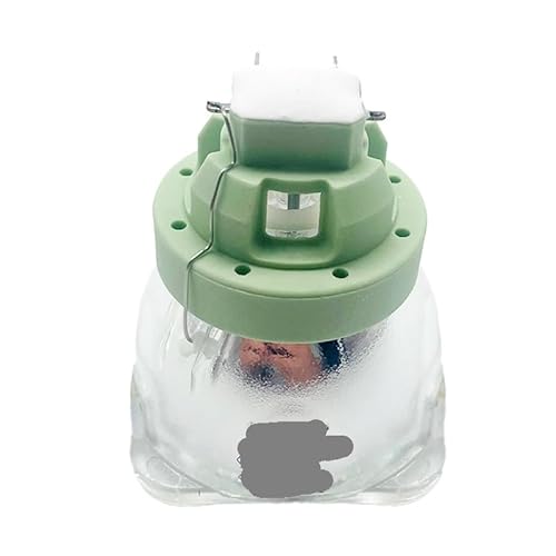 BNEAIGHW Projektionsglühbirne SIRIUSHRI 440 W HighBrightness Bare Bulb 440 W 20R Mailepustage Light Shake Head MSD Beam Platinum 20R Glühbirne Bühnenlicht von BNEAIGHW