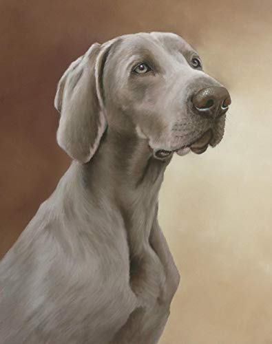 BNHKM 5D DIY Diamond Painting Kit Weimaraner Hund Diamond Drawing für Erwachsene Strass Stickerei Kunst Home Wall Decor Full Drill von BNHKM