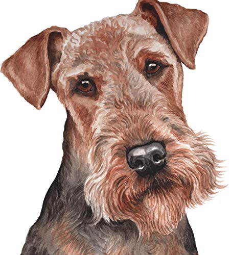 DIY 5D Diamond Painting Kits Airedale Terrier Hund Vollbohrkristall Strass Stickerei Stickerei Bilder Kunst für Zuhause Wanddekoration von BNHKM