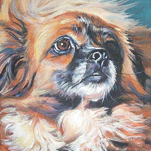 DIY 5D Diamond Painting Kits Pekingese Hund Vollbohrkristall Strass Stickerei Stickerei Bilder Kunst für Zuhause Wanddekoration von BNHKM