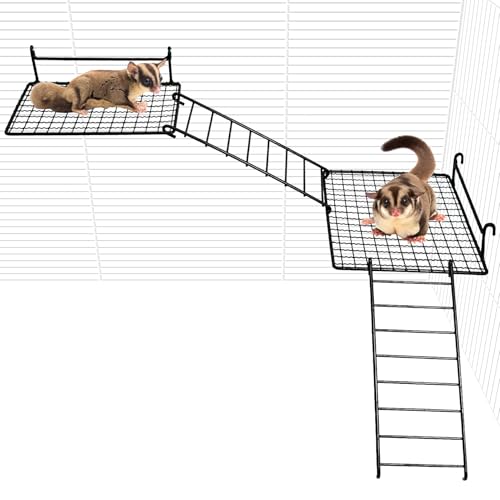 BNOSDM 4 Stück Zuckergleiter Spielzeug Hamster Edelstahl Plattform Eichhörnchen Sitzstange mit Kletterleiter Kleintiere Käfig Zubehör für Meerschweinchen, Chinchillas, Rennmäuse, Mäuse, Ratten, Maus BNOSDM 4 Stück Zuckergleiter Spielzeug Hamster Edelstahl Plattform Eichhörnchen Sitzstange mit Kletterleiter Kleintiere Käfig Zubehör für Meerschweinchen, Chinchillas, Rennmäuse, Mäuse, Ratten, Maus von BNOSDM