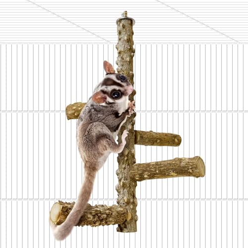 BNOSDM Sugar Glider Spielzeug Natürliche Stachelige Esche Holz Sitzstange Ständer Eichhörnchen Hängende Holz Kletterstange Hamster Pfote Schleifen Sitzstange Kleintierkäfig Zubehör für Chinchillas BNOSDM Sugar Glider Spielzeug Natürliche Stachelige Esche Holz Sitzstange Ständer Eichhörnchen Hängende Holz Kletterstange Hamster Pfote Schleifen Sitzstange Kleintierkäfig Zubehör für Chinchillas von BNOSDM