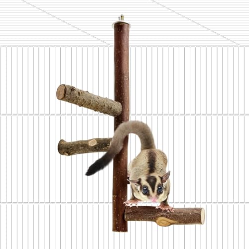 BNOSDM Sugar Glider Spielzeug Natürliches Obstholz Sitzstange Ständer Eichhörnchen Hängende Holz Kletterstange Hamster Pfote Schleifen Sitzstange Kleintier Käfig Zubehör für Chinchillas Ratten BNOSDM Sugar Glider Spielzeug Natürliches Obstholz Sitzstange Ständer Eichhörnchen Hängende Holz Kletterstange Hamster Pfote Schleifen Sitzstange Kleintier Käfig Zubehör für Chinchillas Ratten von BNOSDM