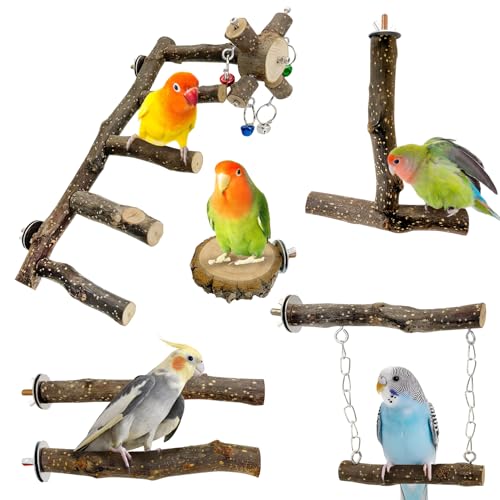 BNOSDM Vogelleiter-Sitzstange aus Naturholz, 6 Stück, Papageienständer, Äste, Klettern, Kaustock, Sittich, Schaukel, Spielzeug, Käfigzubehör, Pfotenschleifgabel-Sets für Unzertrennliche von BNOSDM