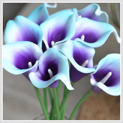 Calla Lilien Rhizome-Calla Lilien Gartenbepflanzung-Elegante Rhizome-Blühende Rhizome-Winterhart Rhizome-Landschaftsgestaltung-8 Rhizome-f Calla Lilien Rhizome-Calla Lilien Gartenbepflanzung-Elegante Rhizome-Blühende Rhizome-Winterhart Rhizome-Landschaftsgestaltung-8 Rhizome-f von BNSOIDE