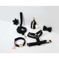 Schwarzer Samt-Hundegeschirr, Fliege, Leinen-Set, Personalisiertes Hundegeschirr Mit Namen Eingraviert, Schritt-Im-Geschirr Für Jungenhund, Im von BOBOPUP