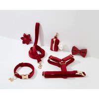 Weinrotes Samt-Hundegeschirr, Personalisierte Gold-Hardware Mit Benutzerdefiniertem Namensgravur-Geschirr Für Jungen, Schritt Im von BOBOPUP