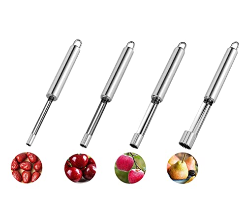 BOBOZHONG 4PCS Fruit Corer Fruchtkern Entferner Werkzeug,Apfelentkerner-Obstgemüsekern Entkerner Multifunktions-Obstentkerner-Entkerner-Set Edelstahl-Birnen-Apfel-Entkerner-Entkerner von BOBOZHONG