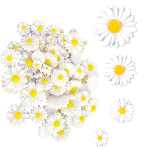 Mini Harz Daisy,40 Stück Mini Dekorierte Gänseblümchen Gänse Blümchen Blume Gänseblümchen Deko,Gänseblümchen Blume Harz Charms für DIY Handwerk Party Haus Dekoration,4 Größen von BOBOZHONG