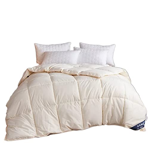 BODHIS Weiche Gänsedaunen-Bettdecke, Winter- und Herbstdecken, Federbett, Gesteppte Steppdecke, Einzelbett, Kingsize (Argento 20 BODHIS Weiche Gänsedaunen-Bettdecke, Winter- und Herbstdecken, Federbett, Gesteppte Steppdecke, Einzelbett, Kingsize (Argento 20 von BODHIS