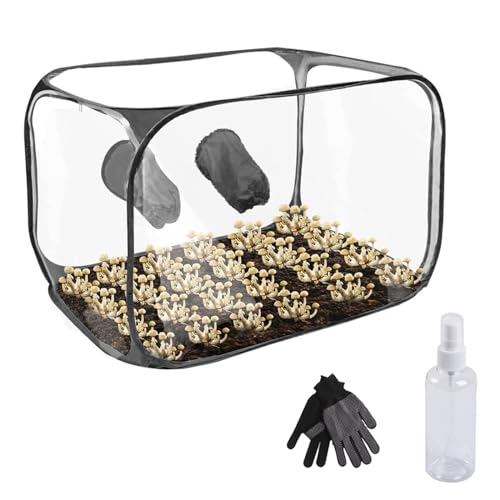 Pilzzuchtzelt, 60x60x90cm Growbox Gewächshaus Zuchtschrank Wasserdicht Pflanzzelt Growroom Pilzzucht Still Luftbox Pilzzuchtbeutel Tragbares Pilzzuchtzelt Set Pilzmykologie Abzugshauben von BODYGAD
