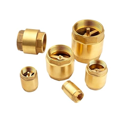 All-Copper Thickened Inner and Outer Wire Water Pipe Check Valve Spring One-Way Valve(Sv240W25 173g) von BOEAXTYUI