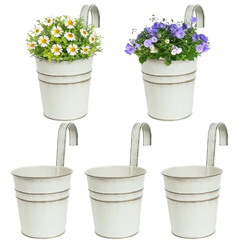 BOFUNX 5er Set Hängender Blumentopf Metall Vintage Style Balkon Hängetöpfe Blumentöpfe zum Aufhängen mit Haken Für Dekotation Balkon Draussen Innenwand Garten Wand(Ø 10/7.5cm, H 10.5cm) von BOFUNX