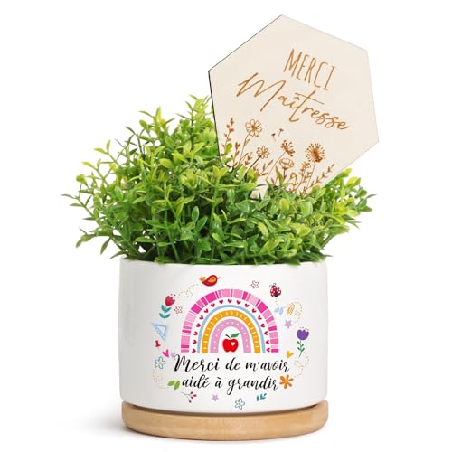 BOFUNX Holz Blumenstecker mit Blumentopf Aufkleber für Kita Kindergarten Abschiedsgeschenk Lehrer Erzieher Danke Geschenk von BOFUNX