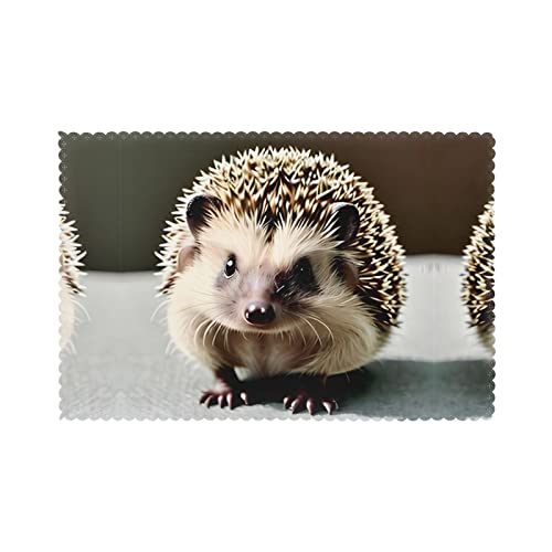 Tischsets, niedlicher Igel, 6er-Set, hitzebeständige Tischsets für den Esstisch in der Küche, abwischbare und waschbare Tischsets von BOHHO