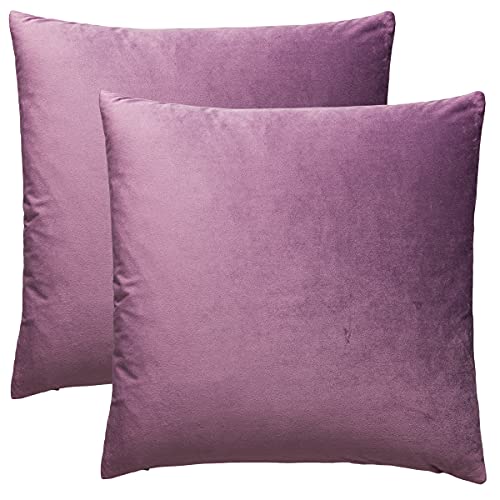 BOHORIA® 2er Pack Samt Kissenbezug Kissenhülle Dekorative Kissenbezug Dekokissen Sofakissen Lendenkissen Wurfkissenbezug (50x50cm, Plum Lila) von BOHORIA