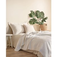 Kuscheldecke Pure | Decke Flauschig Bettüberwurf Wohndecke Sofadecke Modern 100% Baumwolle Größe 150x200cm Kuscheldecke Pure | Decke Flauschig Bettüberwurf Wohndecke Sofadecke Modern 100% Baumwolle Größe 150x200cm von BOHORIADE