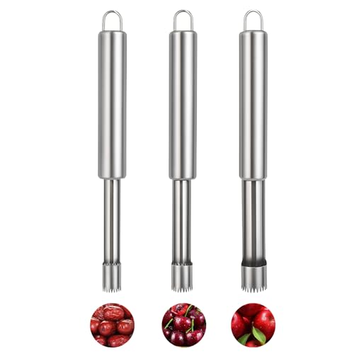 BOHUIZ 3 Stück Edelstahl Apfelentkerner, Apfelschneider mit Aufhängeöse Obstentkerner Apfelausstecher Entfernt präzise Kerngehäuse von Äpfeln und Birnen(3Größen,1 cm, 1,4 cm,2 cm) von BOHUIZ