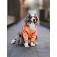 Handgefertigter Oranger Hunde Hoodie Fleece-Futter Haustierpullover Handgefertigter Oranger Hunde Hoodie Fleece-Futter Haustierpullover von BOISthelabel