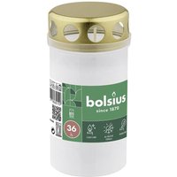 Dauerbrenner Dauerbrenner von BOLSIUS