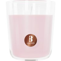 Bolsius Duftkerze True Scents Magnolie 10 cm im Glas Bolsius Duftkerze True Scents Magnolie 10 cm im Glas von BOLSIUS