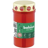 Dauerbrenner Dauerbrenner von BOLSIUS