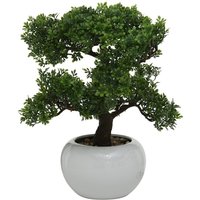 Boltze Gruppe - Künstlicher Bonsai im Blumentopf, 33 cm, für Innenräume Boltze Gruppe - Künstlicher Bonsai im Blumentopf, 33 cm, für Innenräume von BOLTZE GRUPPE