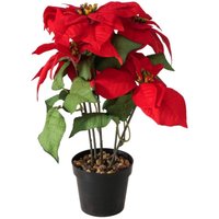 Künstlicher Weihnachtsstern im Topf, H. 40 cm von BOLTZE GRUPPE