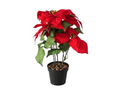 BOLTZE Weihnachtsstern Topfpflanze Plastik 40cm BOLTZE Weihnachtsstern Topfpflanze Plastik 40cm von BOLTZE