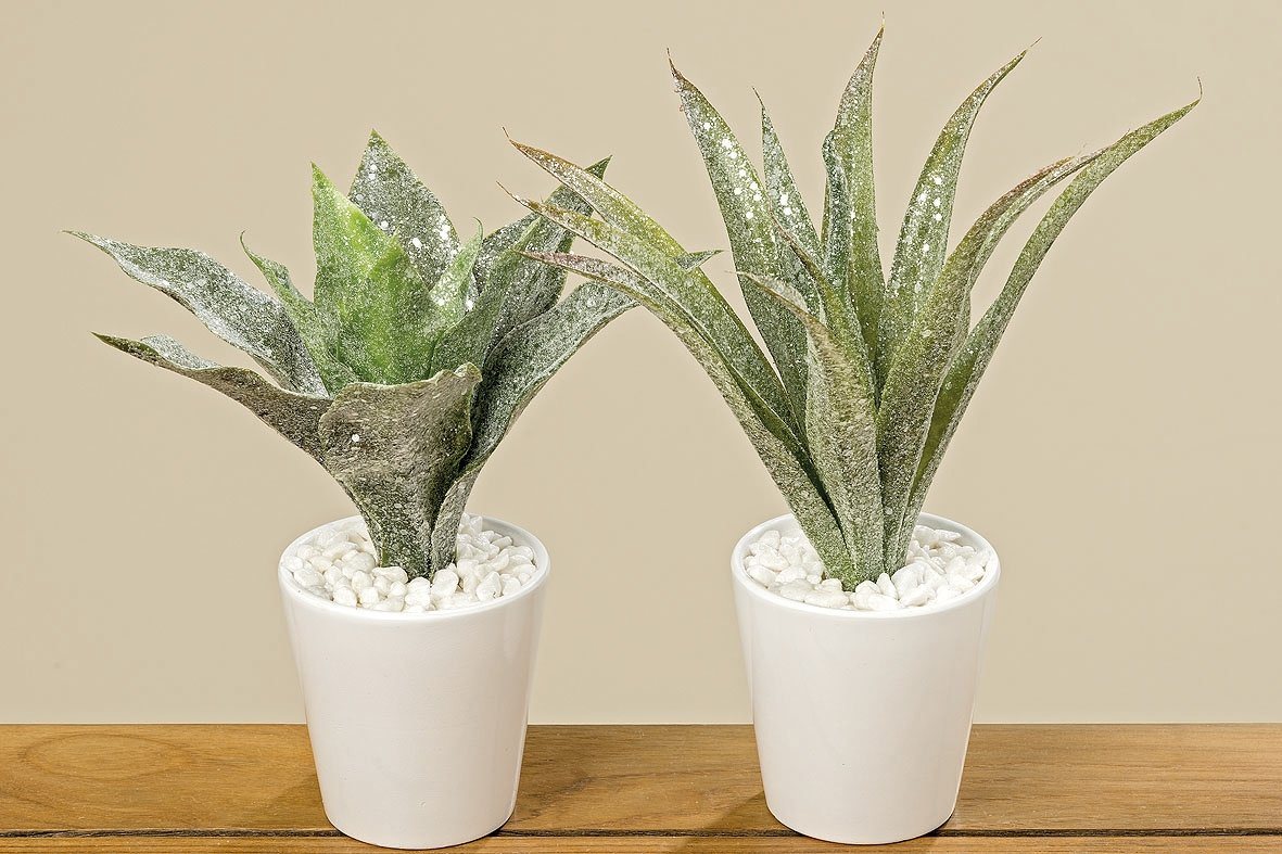 Kunstpflanze Agave im Topf sortiert 25 cm, BOLTZE Kunstpflanze Agave im Topf sortiert 25 cm, BOLTZE von BOLTZE