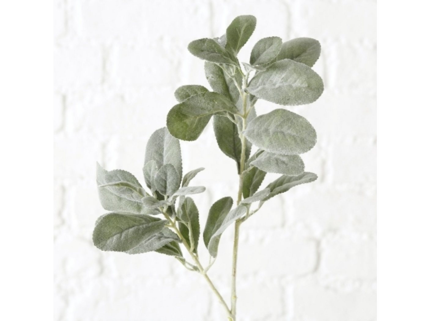 Kunstpflanze Blätterzweig grün 72 cm, BOLTZE, Höhe 0 cm von BOLTZE