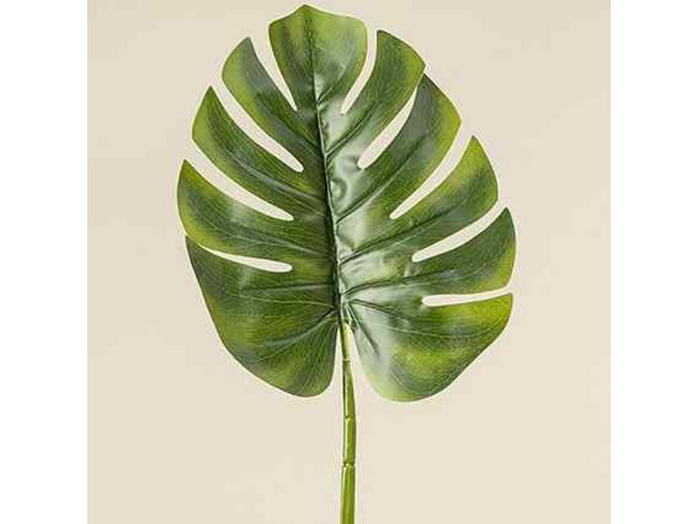 Kunstpflanze Blatt grün 75 cm, BOLTZE von BOLTZE