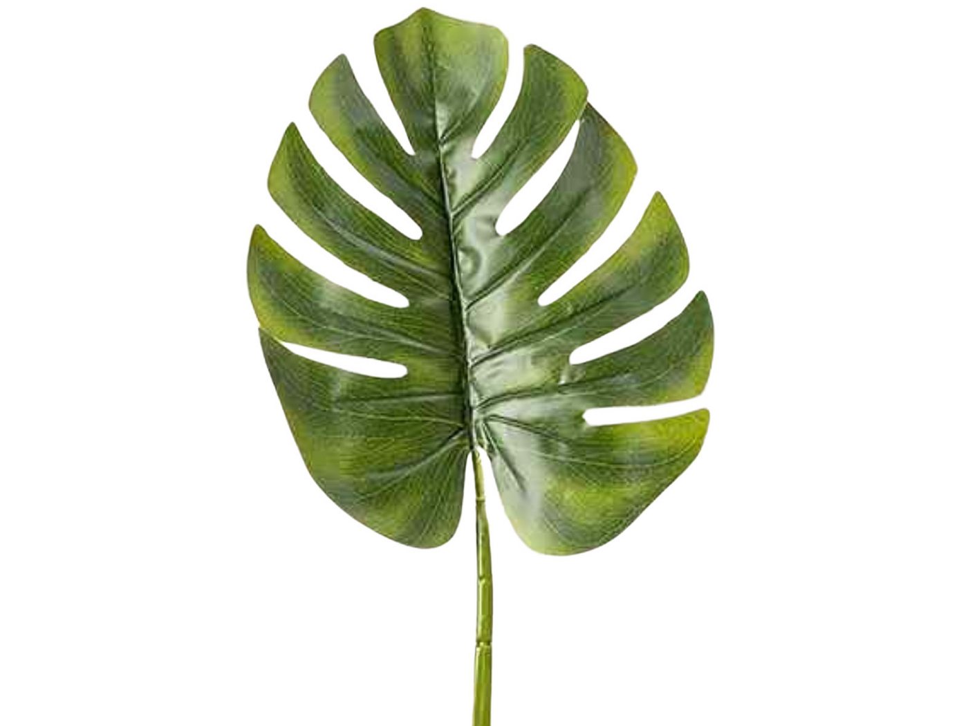 Kunstpflanze Blatt grün 75 cm, BOLTZE Kunstpflanze Blatt grün 75 cm, BOLTZE von BOLTZE