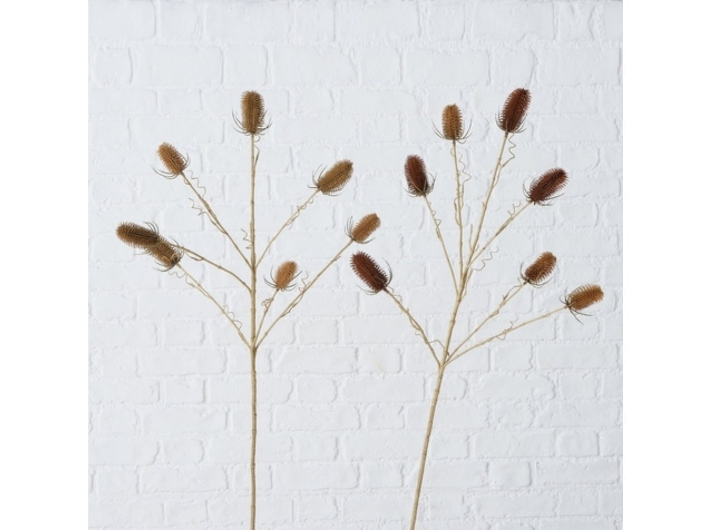 Kunstpflanze Dekozweig Distel sortiert 110 cm (1 Stück), BOLTZE, Höhe 0 cm von BOLTZE