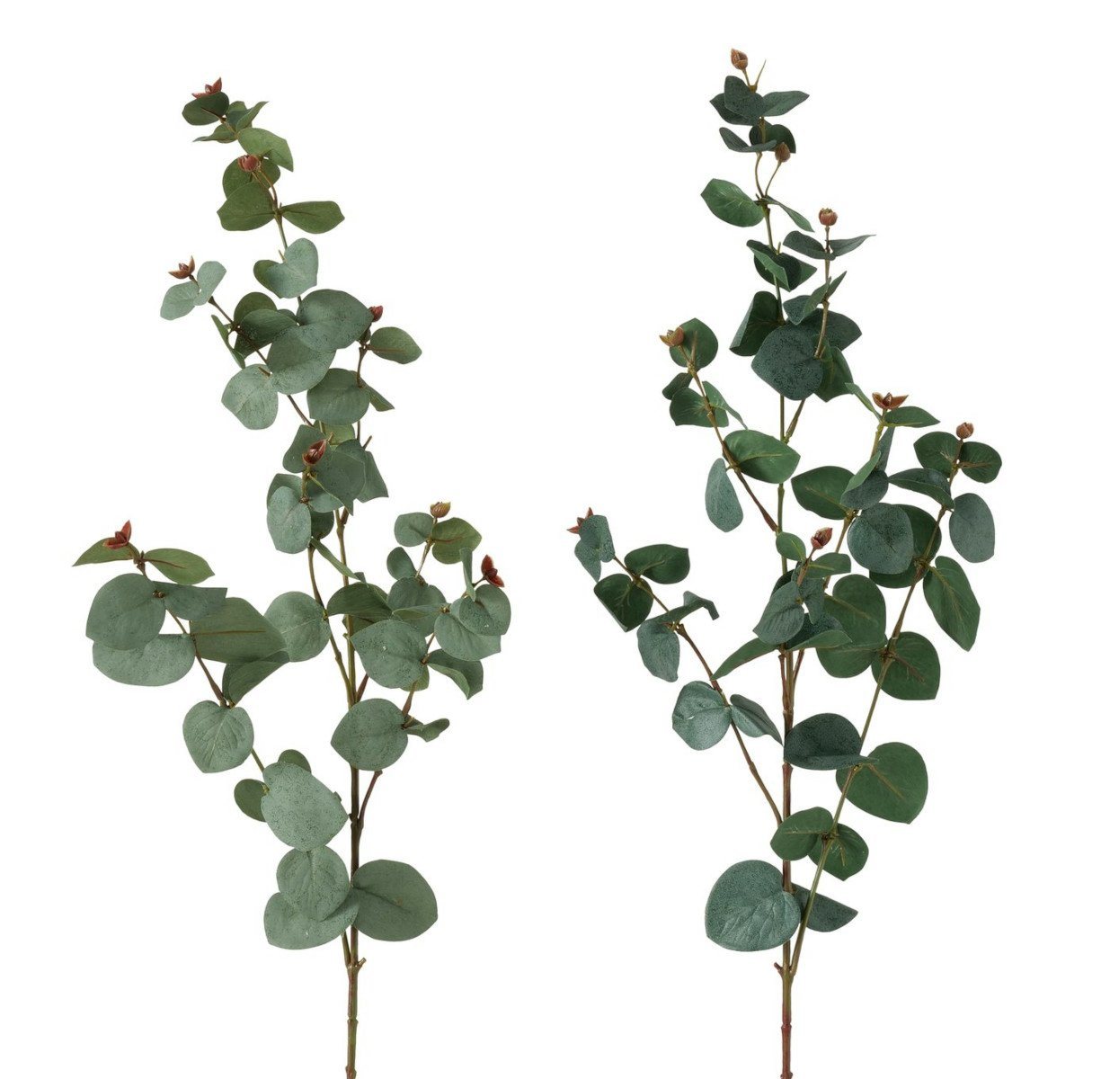 Kunstpflanze Dekozweig Eukalyptus grün 87cm sortiert (1 Stück), BOLTZE von BOLTZE