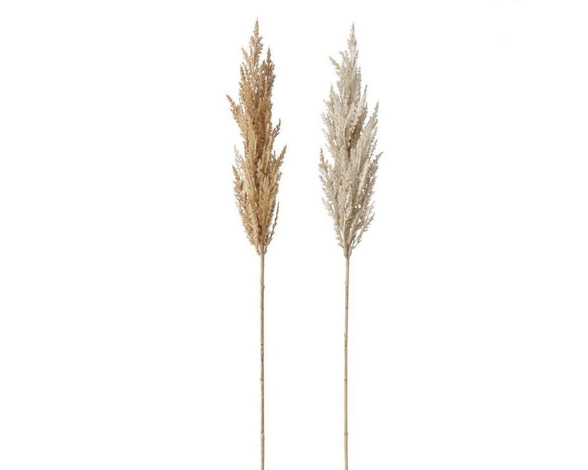 Kunstzweig Dekozweig Pampasgras 95 cm sortiert 1 Stück, BOLTZE, Höhe 0 cm Kunstzweig Dekozweig Pampasgras 95 cm sortiert 1 Stück, BOLTZE, Höhe 0 cm von BOLTZE