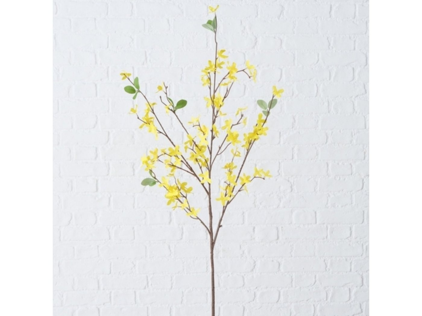 Kunstpflanze Dekozweig Winterjasmin 25 cm, BOLTZE, Höhe 0 cm von BOLTZE